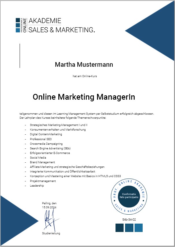 Weiterbildung Oline Marketing ManagerIn Zertifikat
