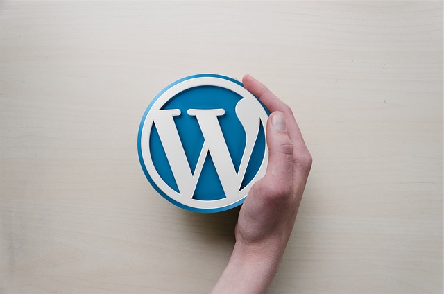 fernkurs-wordpress-grundlagen-anfaenger.jpg